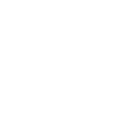 Security icon